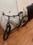 TREK Allant+ 7 Lowstep