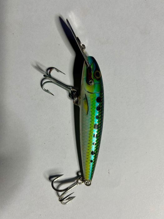 Amostras Rapala várias categorias