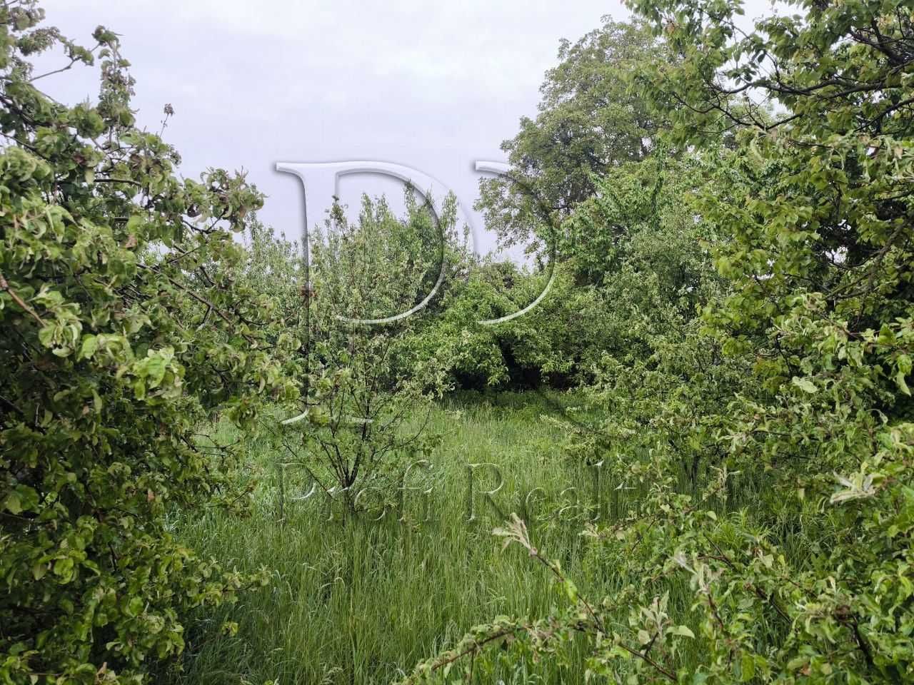 Земельна ділянка, з газом, електрикою та старою хатою.