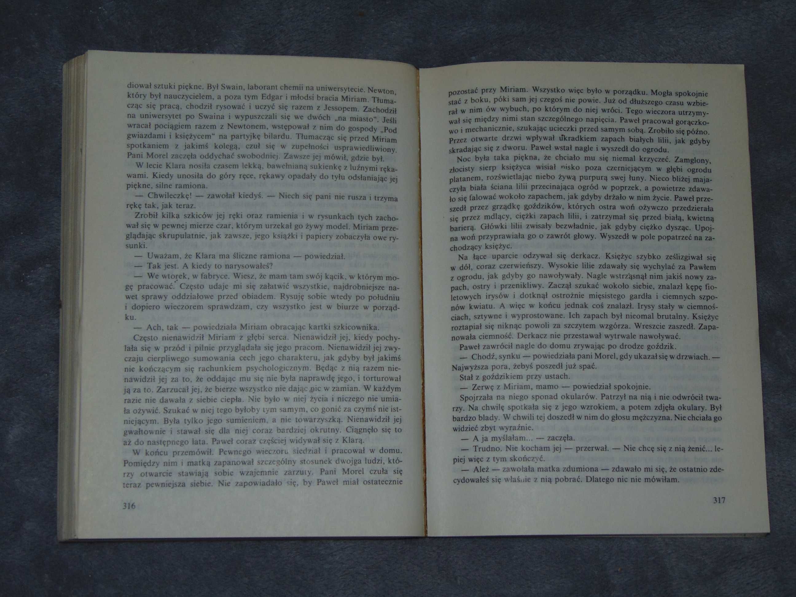 Synowie i kochankowie - David Herbert Lawrence