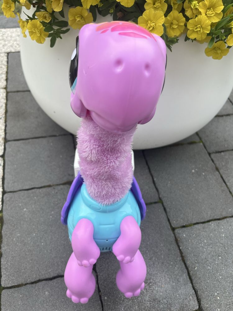 Żółw Cobi Little Live Pets