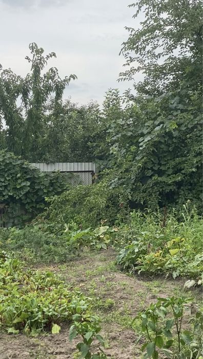 Ділянка 12,5 сот. м. Обухів, ж-м Лукавиця.