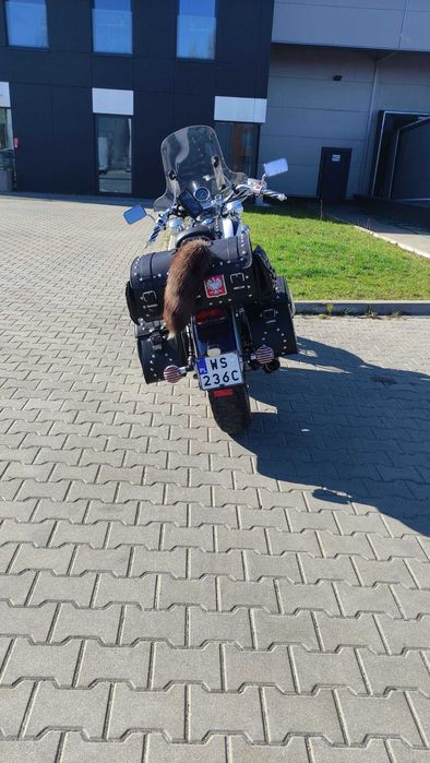 Honda Shadow vt 1100 ACE C2  Prawdziwy Klasyk
