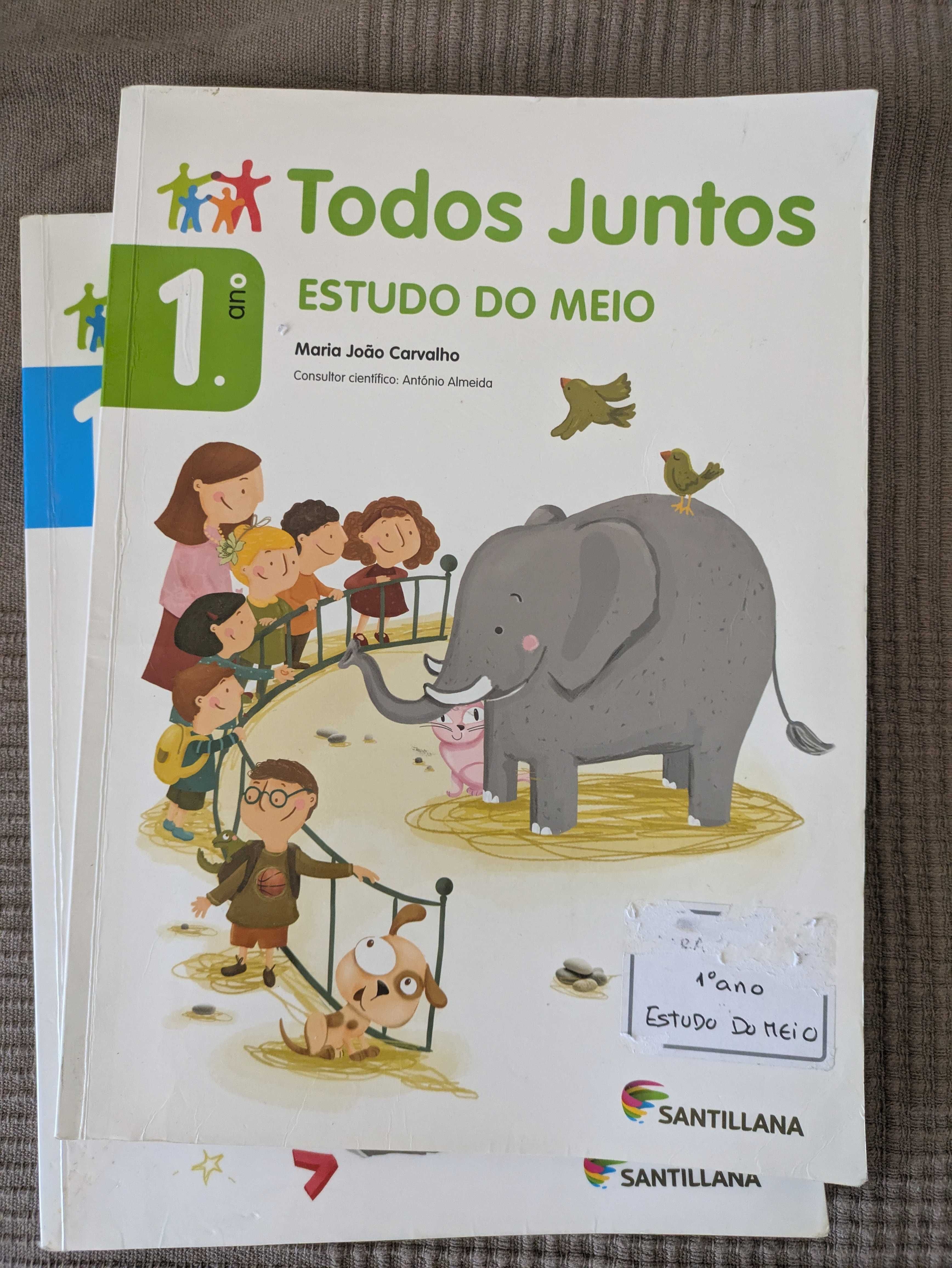 Livros escolares 1º ano - Todos Juntos