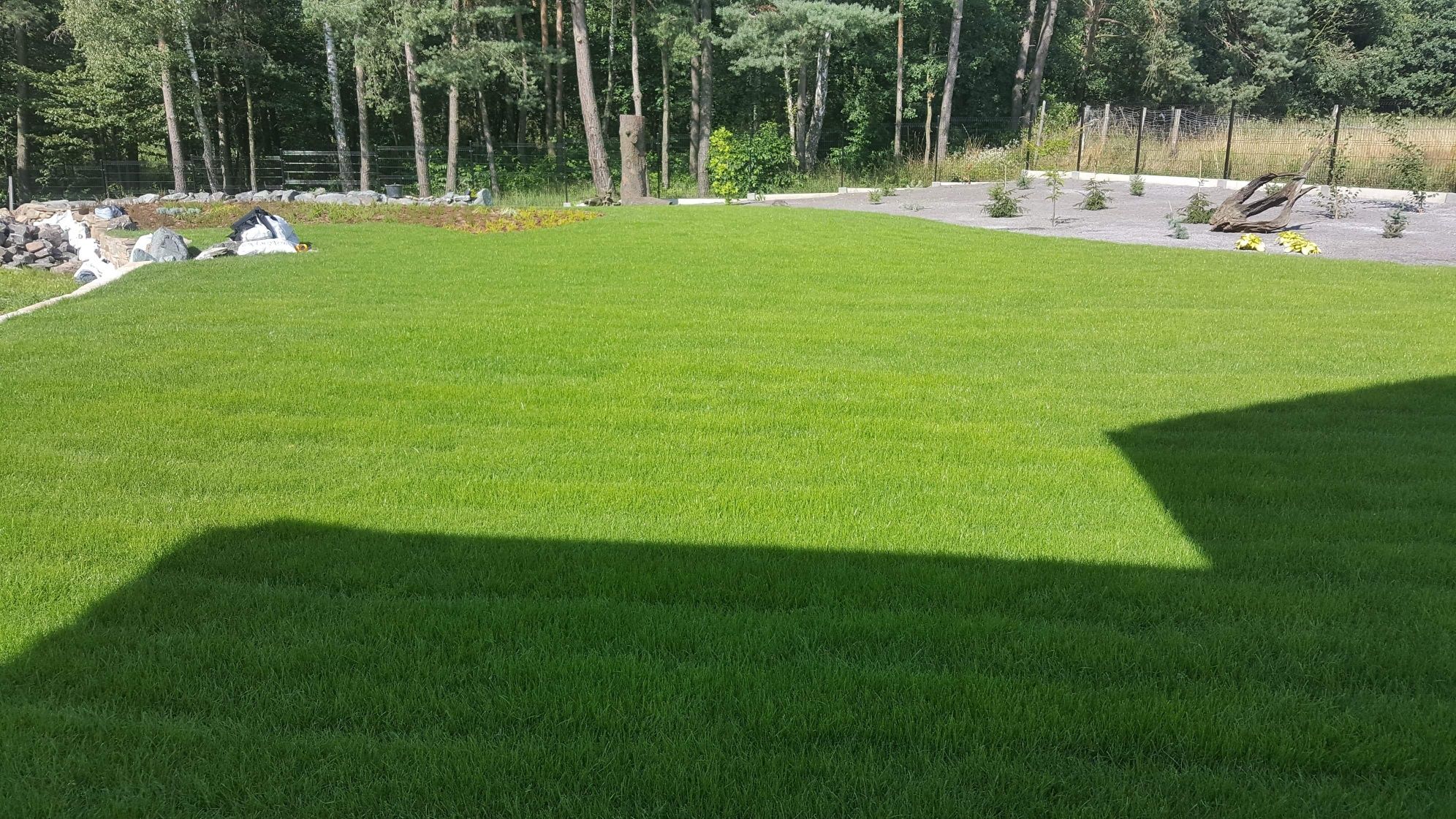 Trawa z rolki trawniki rolowane
