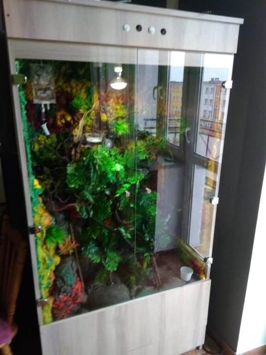 Sprzedam terrarium