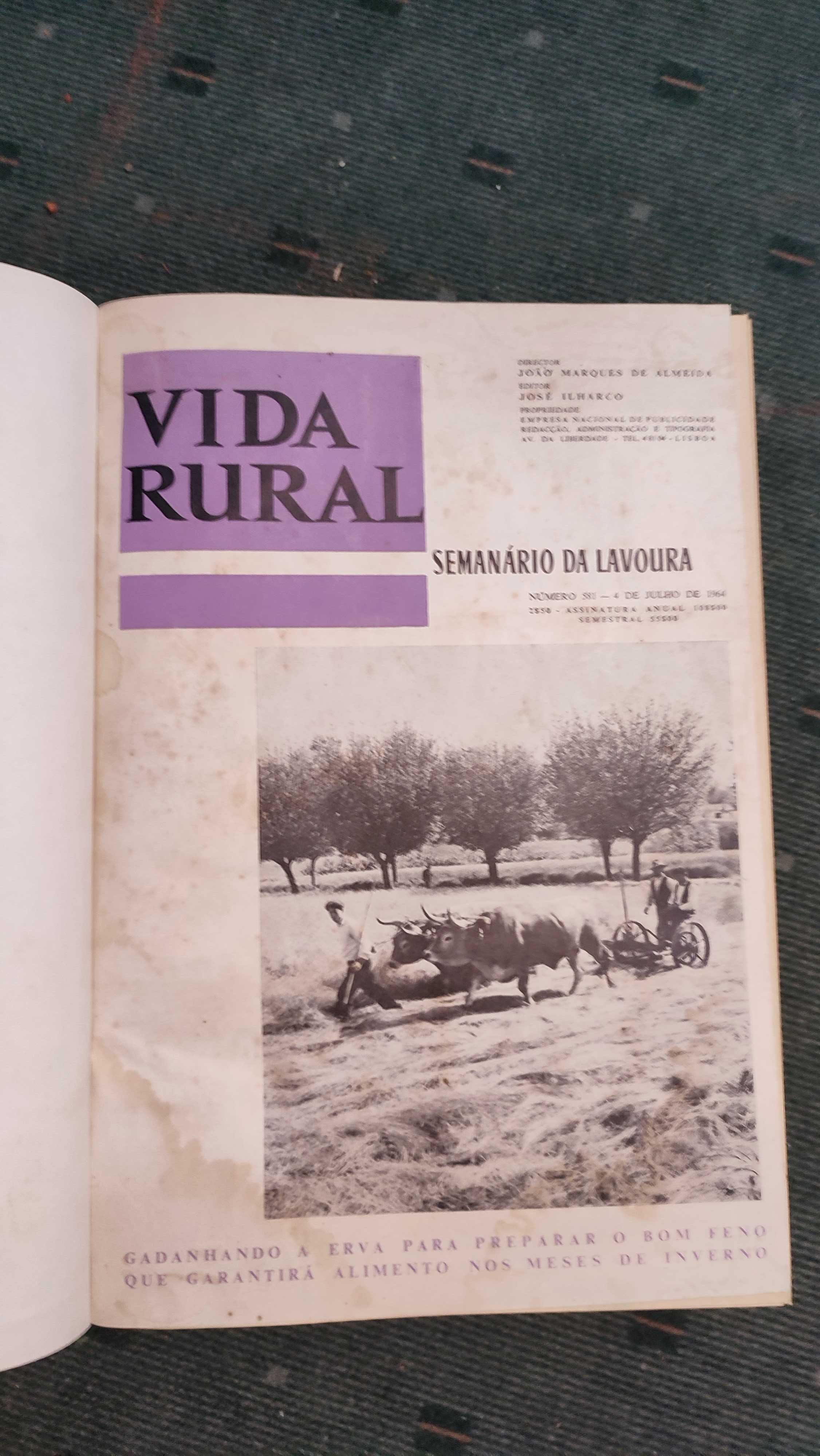 Vida Rural - 2º semestre 1964 - 25 revistas encadernadas