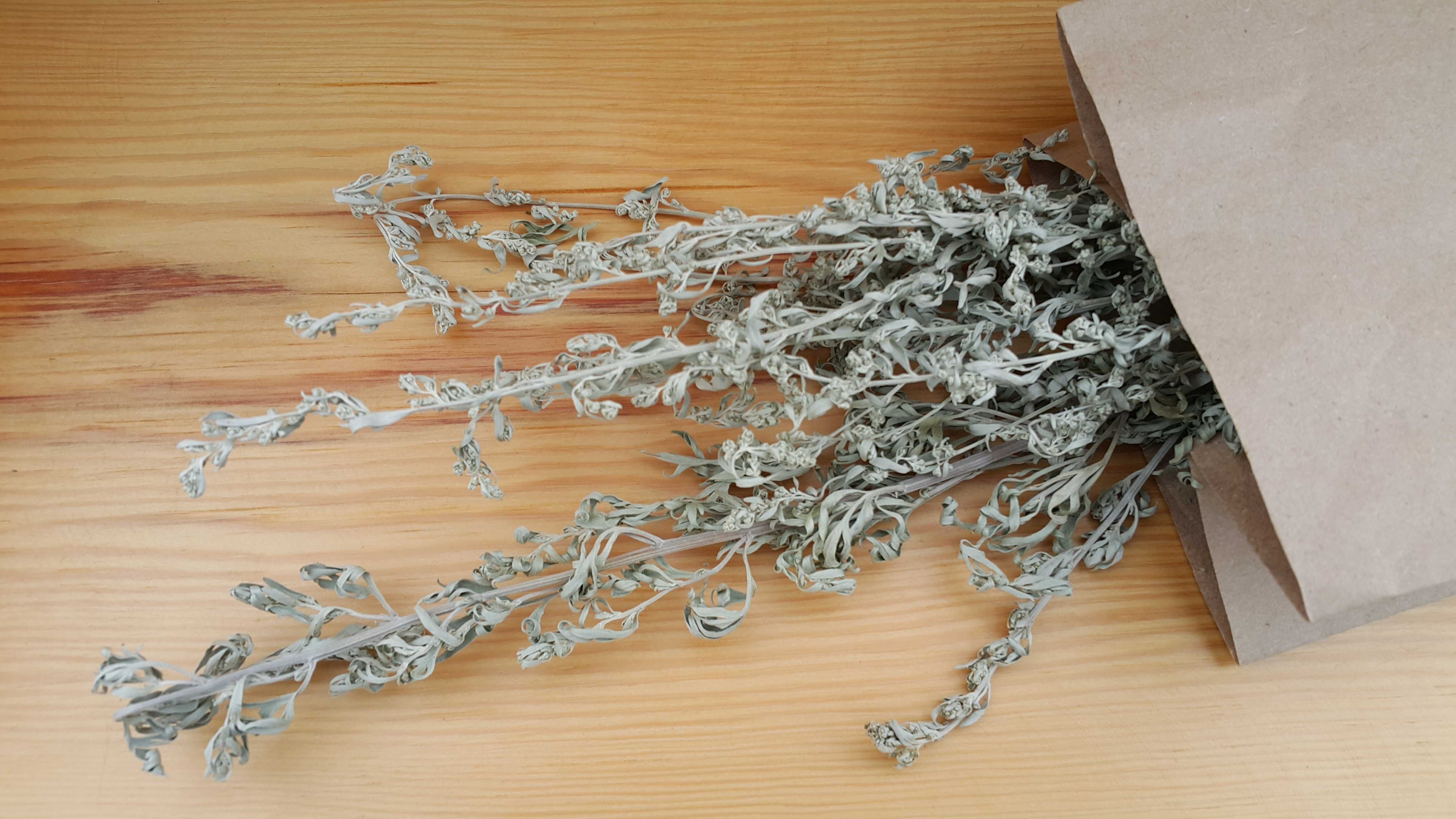 Piołun Bylica Bylica piołun  Artemisia absinthium L. suszone 25 gr