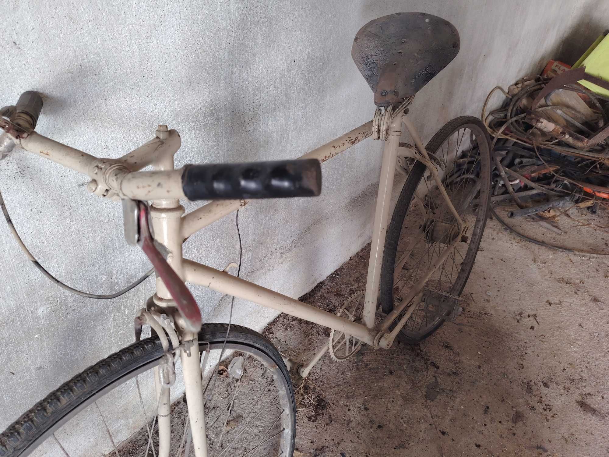 Bicicleta Pasteleira