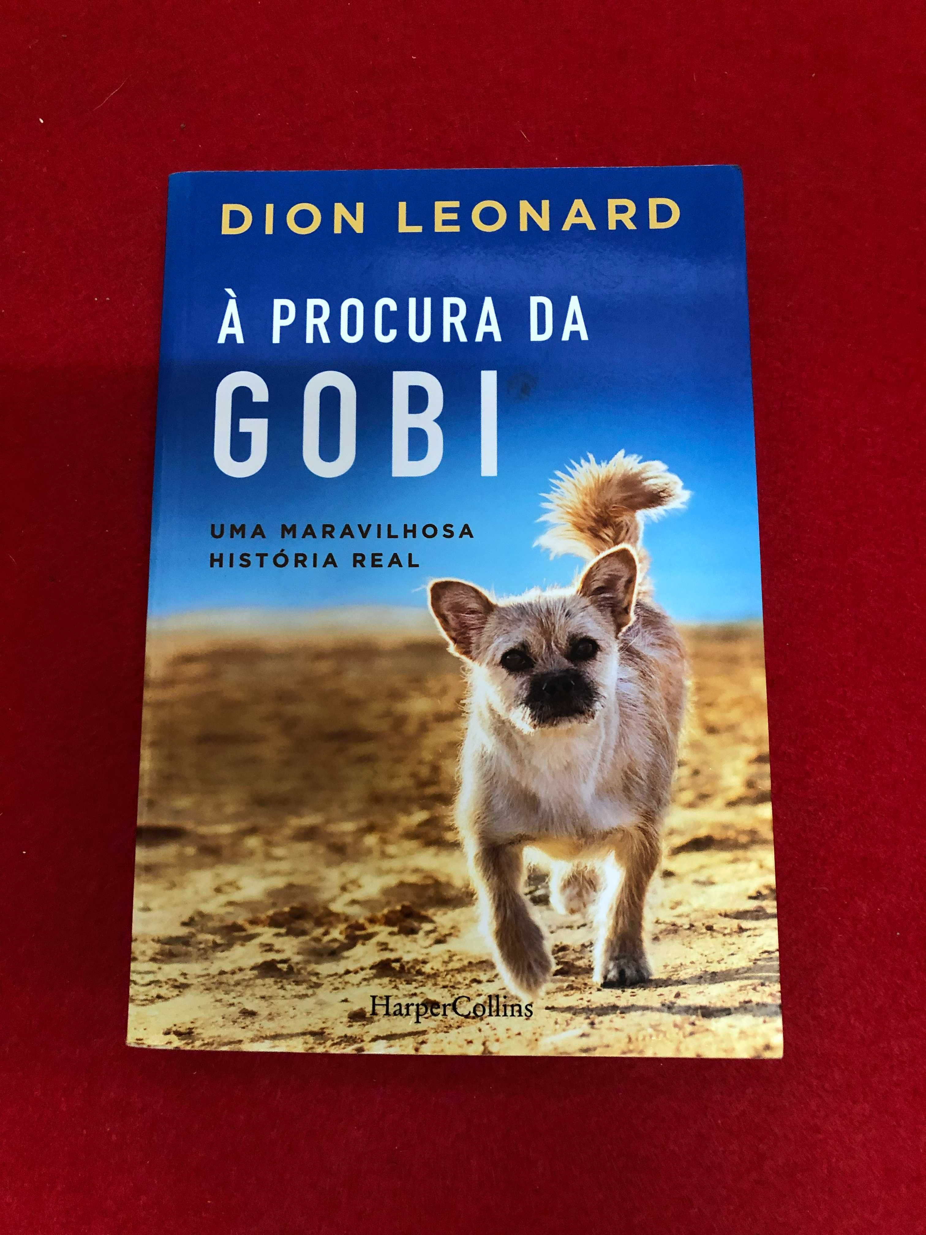 À procura da Gobi - Dion Leonard