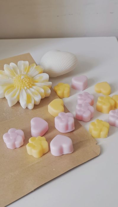 Mix wax melts com aroma de coco