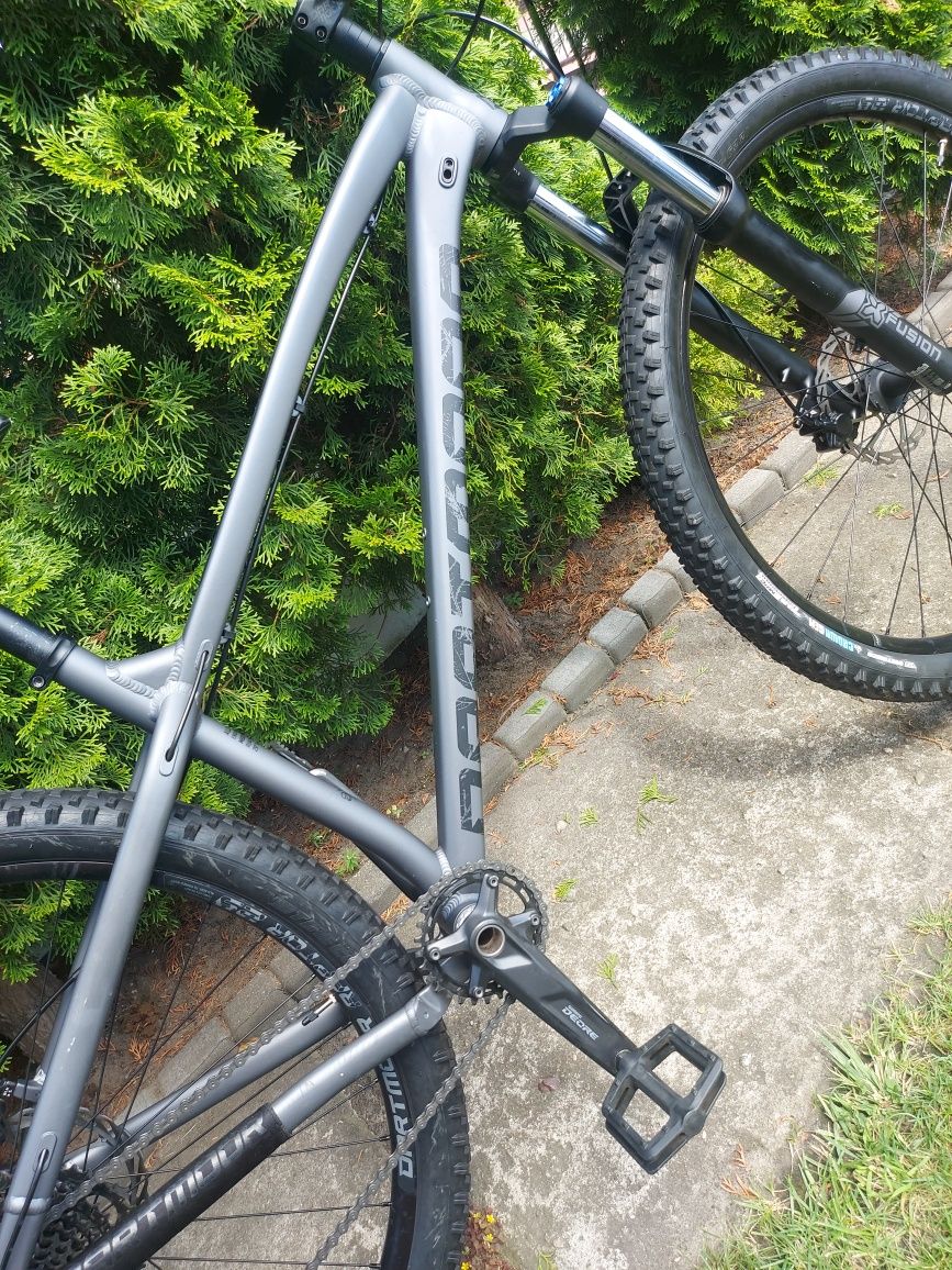 Rower MTB Dartmoor Primal Intro 29 rama M koło 29 " grafitowy