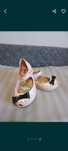 Baleriny mini melissa 25