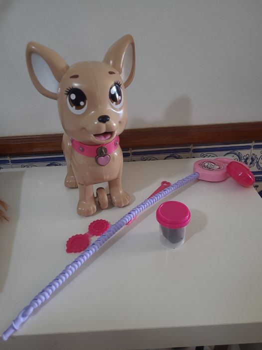 Cão chi chi love poo poo puppy Simba