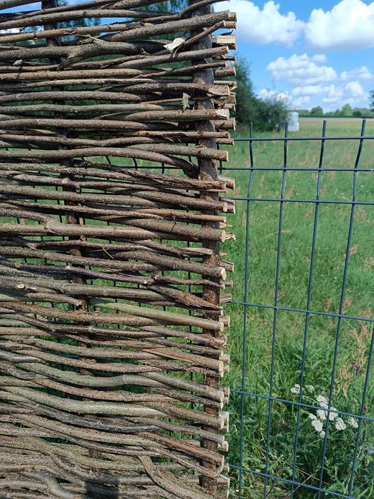 Płot z leszczyny – naturalne ogrodzenie do działki, altany, ogrodu