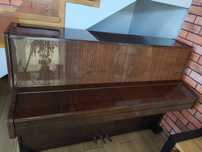 Pianino Legnica idealne do nauki