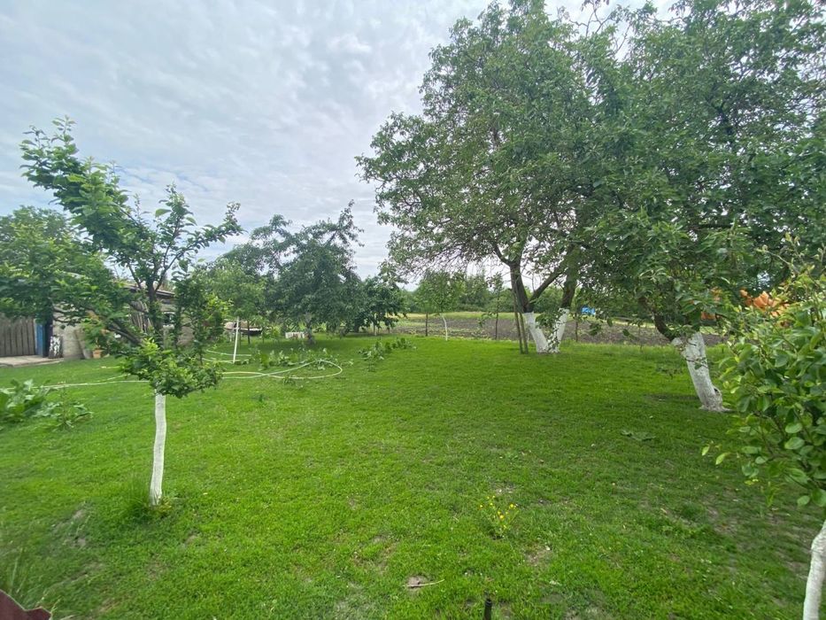 Продам будинок з великою земельною ділянкою