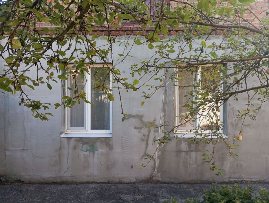 Продам дорого будинок з врімянкою на Кореї