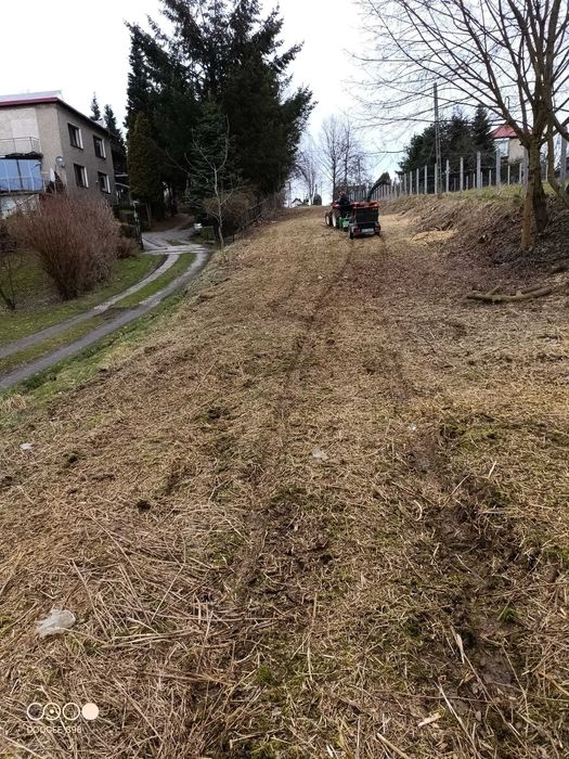 Wycinka drzew, pielęgnacja drzew, czyszczenie działek, usługi rębakiem