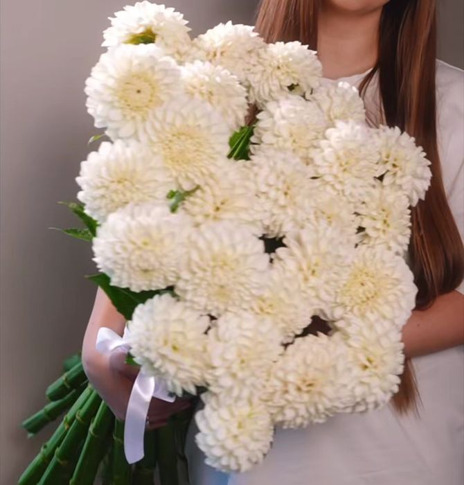 Жоржини ( георгины)