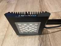 Reef Flare Pro BLUE S Black 65 W - Lampa LED  akwarium morskie