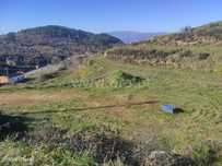Terreno / Fundão, Alcongosta