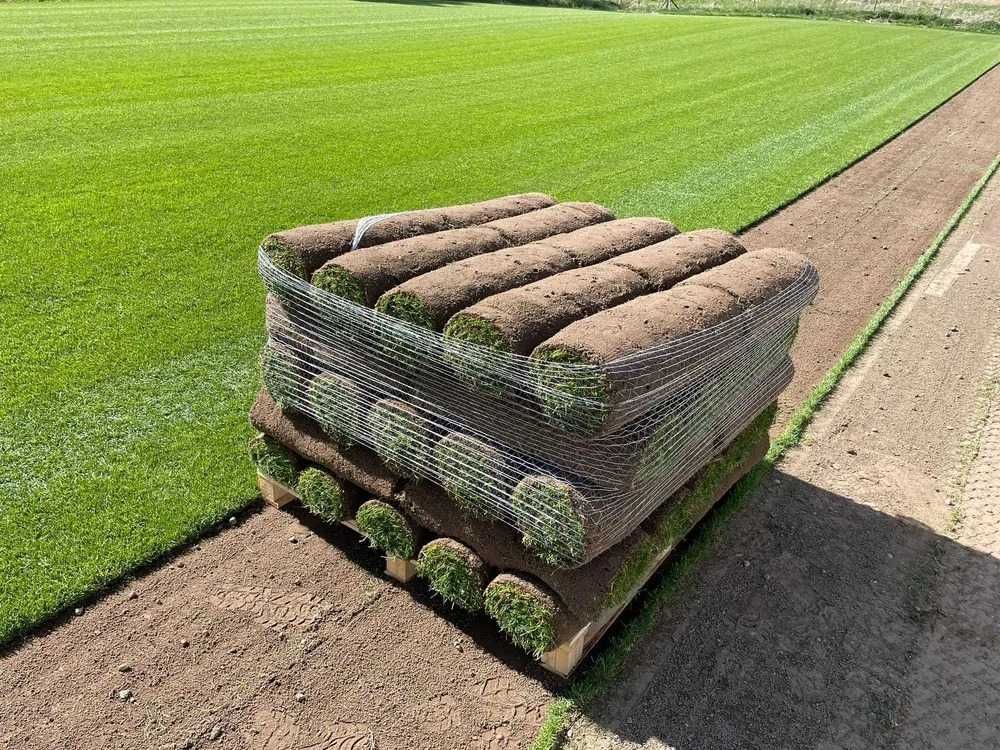 Trawnik z rolki - darń trawnikowa