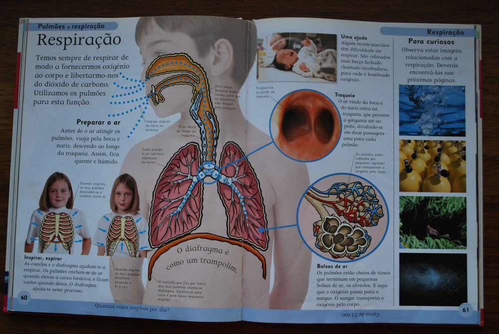 Primeira Enciclopédia do Corpo Humano