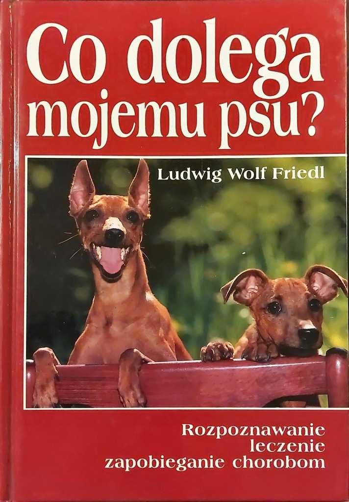 Co dolega mojemu psu rozpoznawanie leczenie zapobieganie chorobom