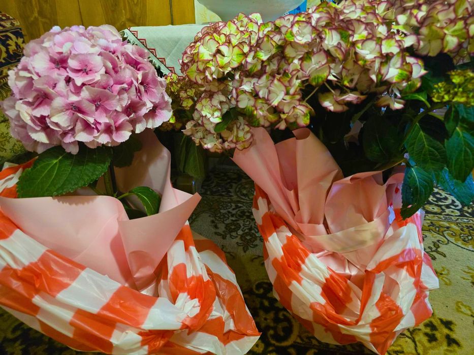 Пакети речей жіночі