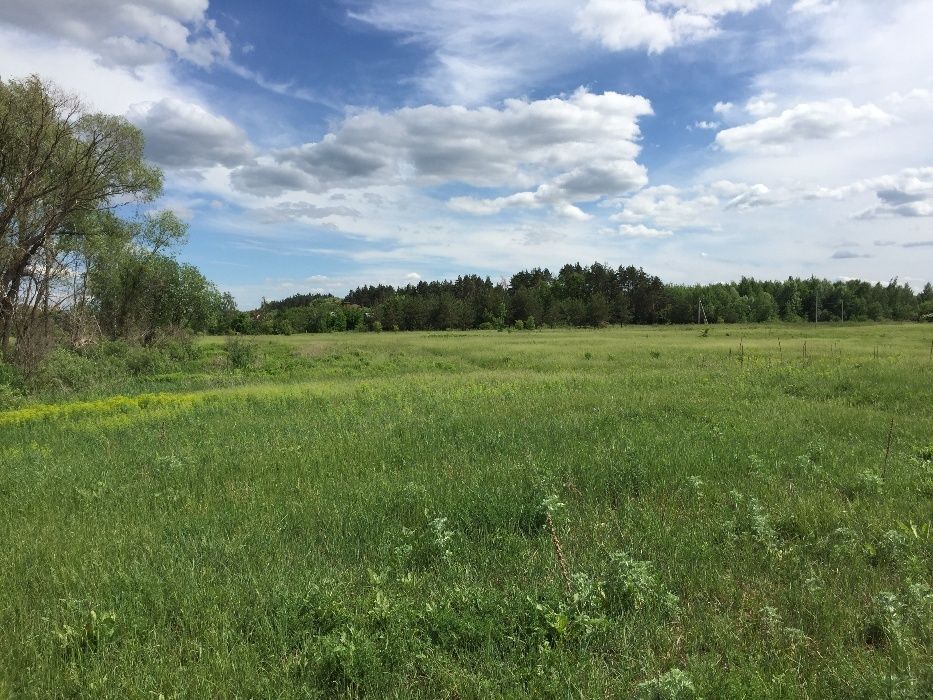 Продаю участок в с. Селичёвка Барышевский район Киевская область.