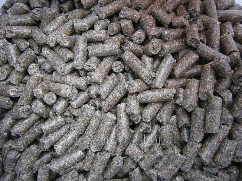 Śruta słonecznikowa