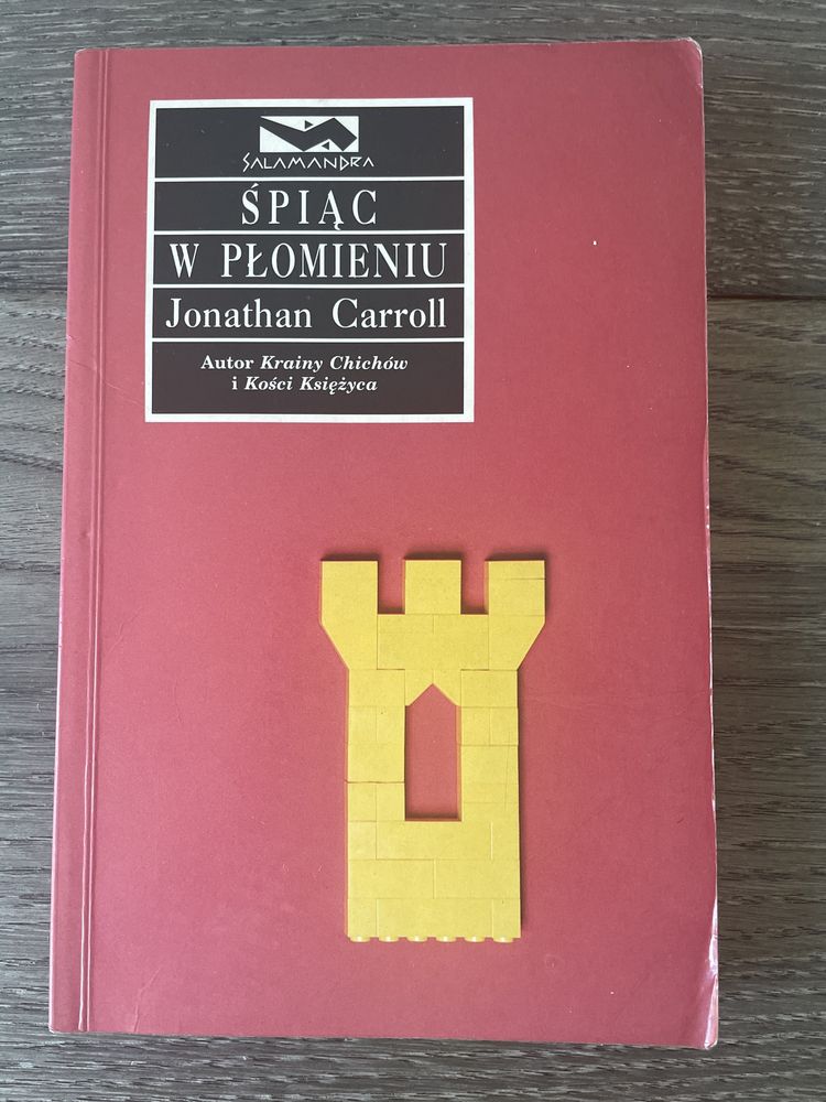 Jonathan Carroll - śpiąc w płomieniach