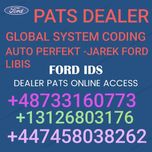 PATS DEALER FORD System Global  365 Dni
