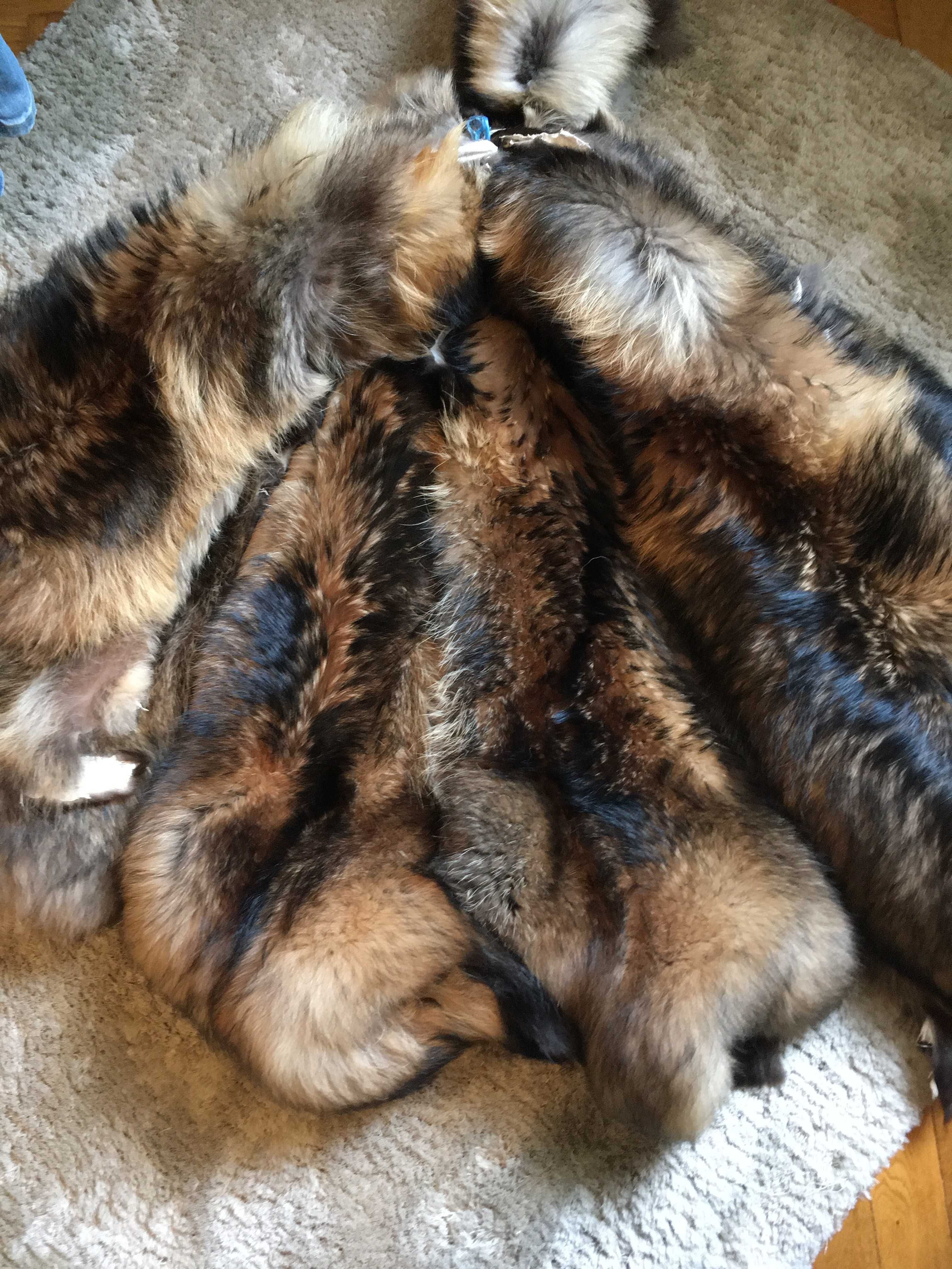 Skóry z Jenota Finnraccoon Jenot garbowany