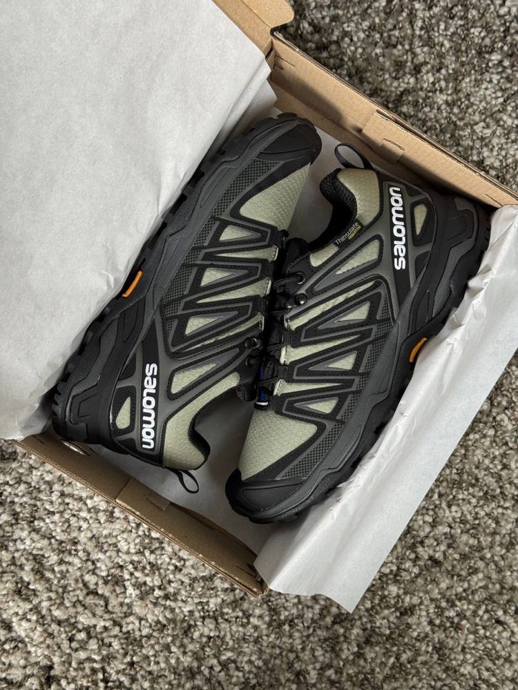 Чоловічі кросівки Salomon Speed Cross Pro GTX Thinsulate Black Khaki