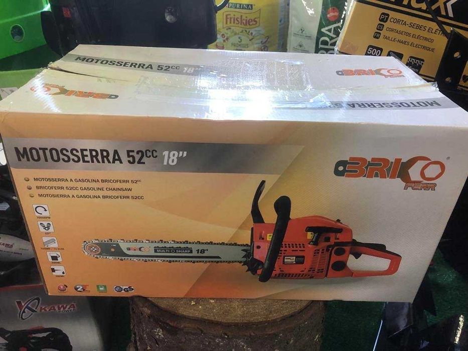 Motossera Bricoferr