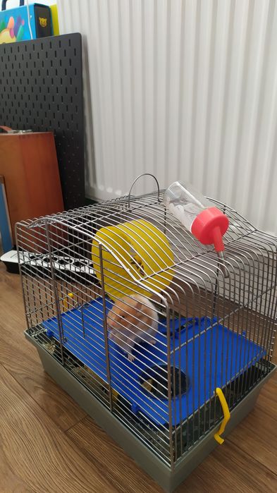Sprzedam klatkę z chomikiem