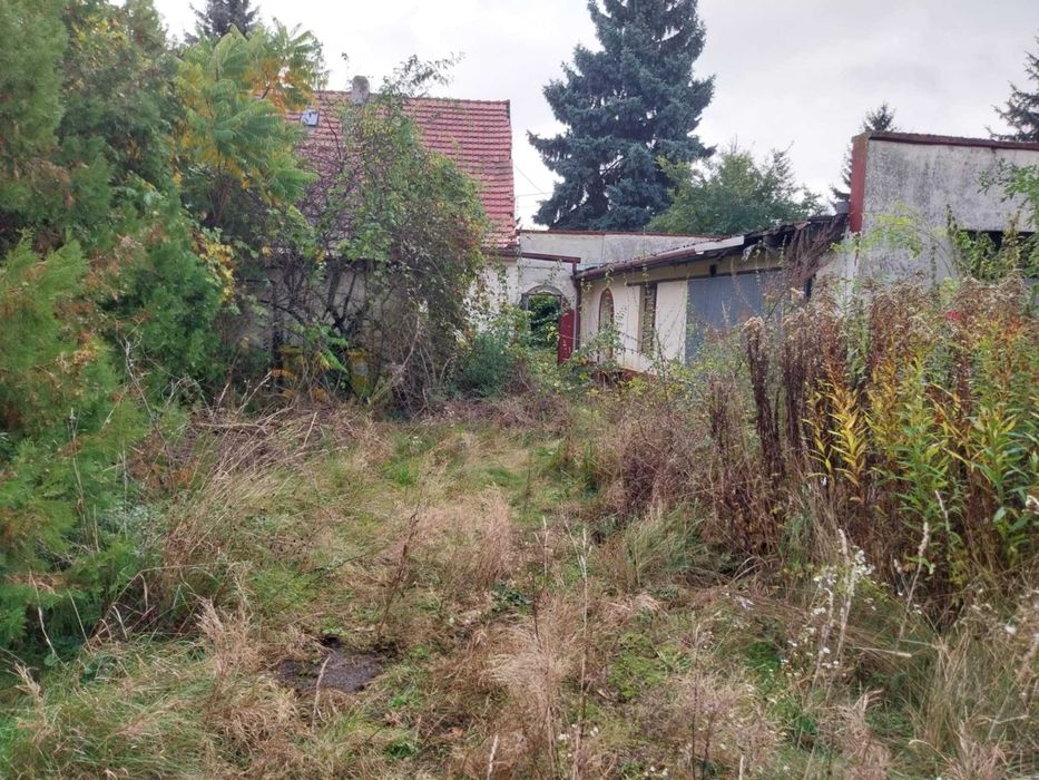 Koszenie traw,wycinki,glebogryzarki