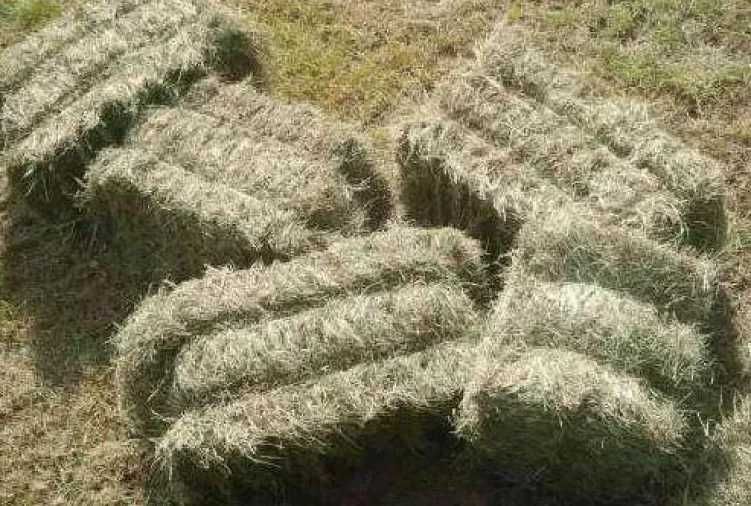 Siano mala kostka 2025r TRANSPORT