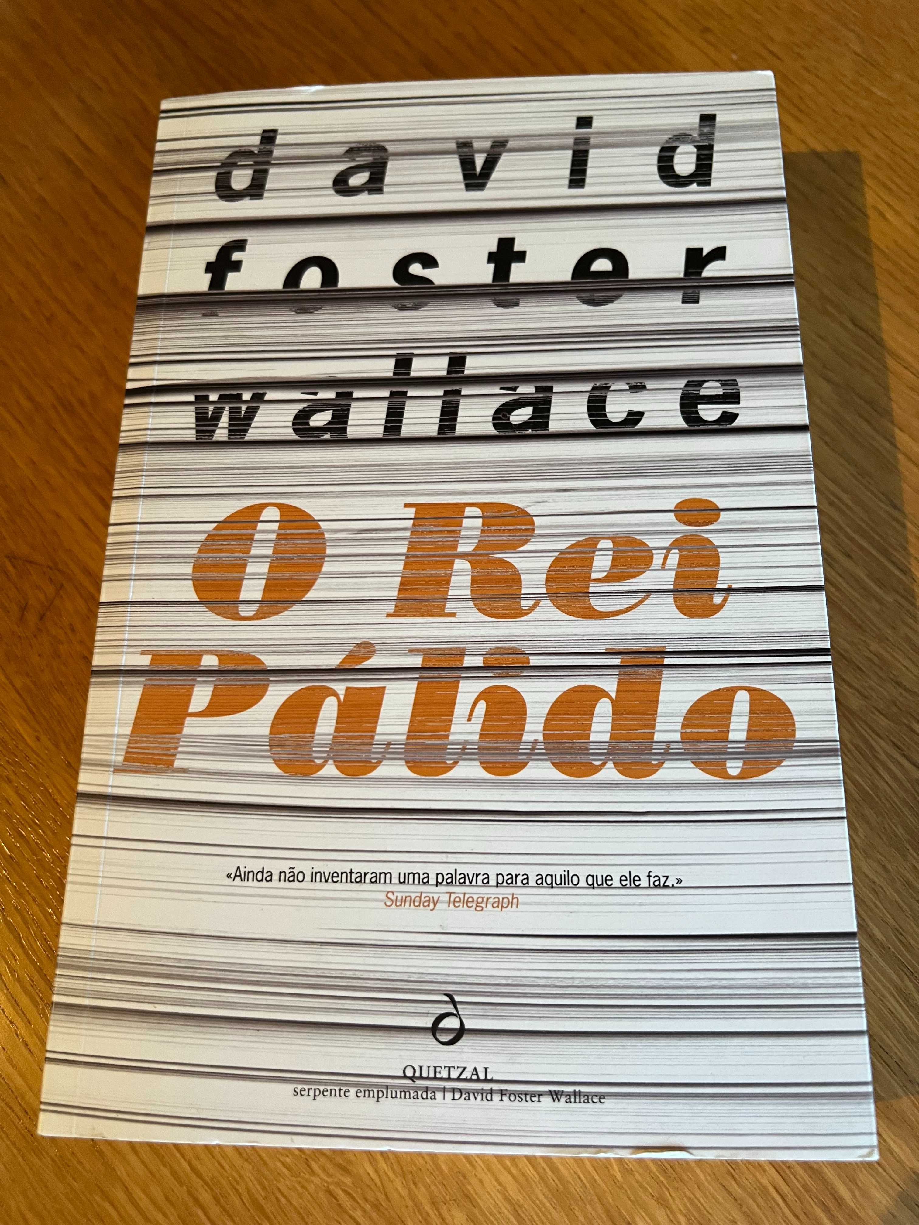 O REI PÁLIDO    David Foster Wallace