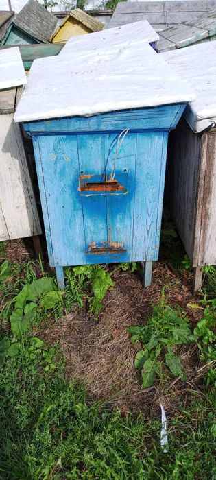 Вулики б/у Українські.