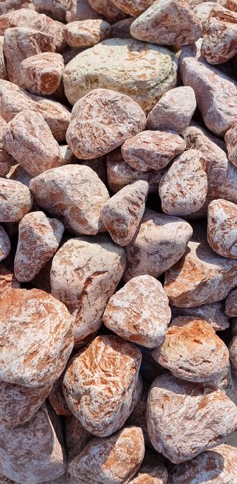 Otoczak Rosso Verona