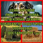 СЕНО С ДОСТАВКОЙ от 1 шт в тюках мешках, сіно горное для лошадей,
