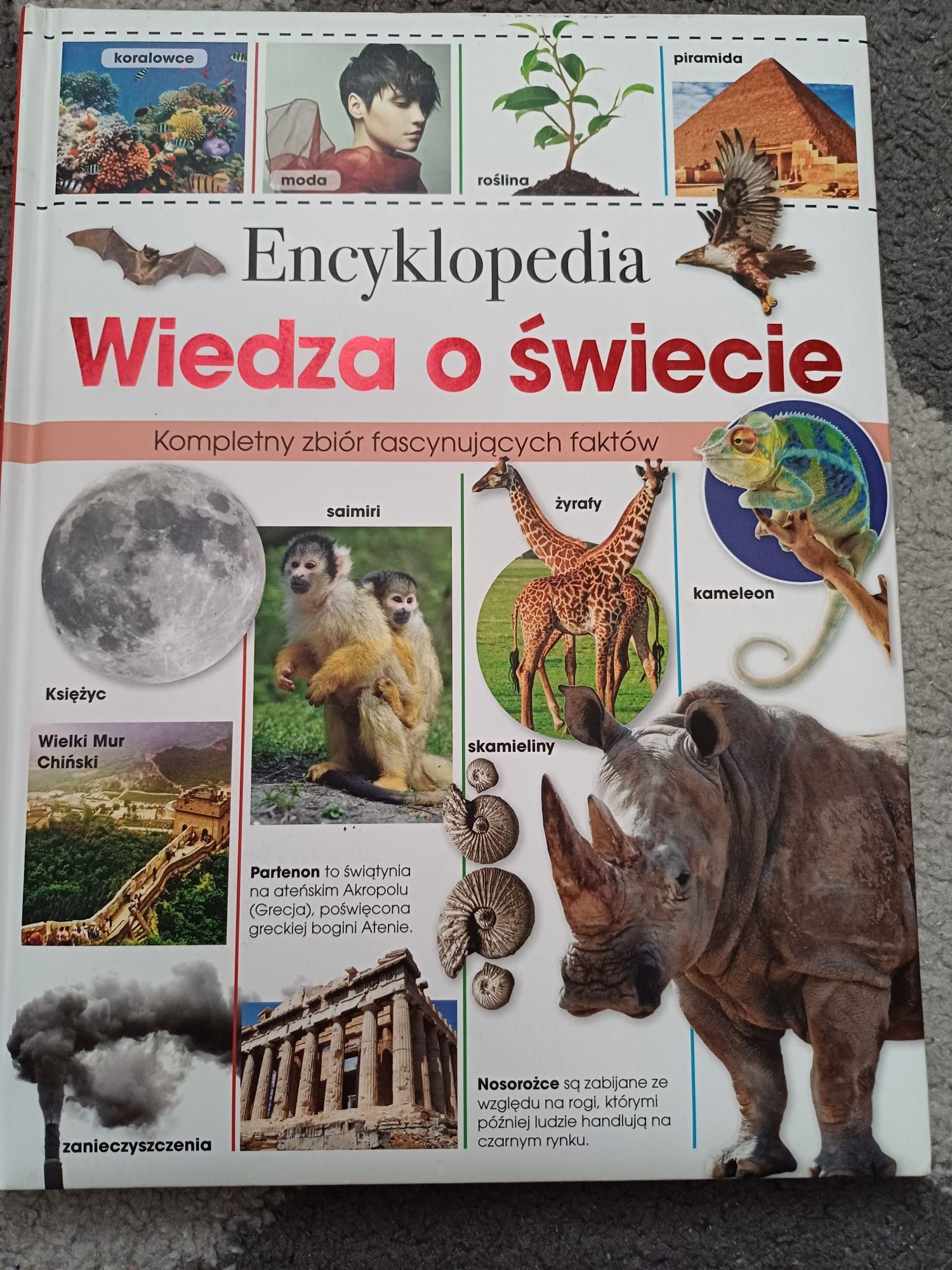Książka "Encyklopedia wiedza o świecie" jak nowa