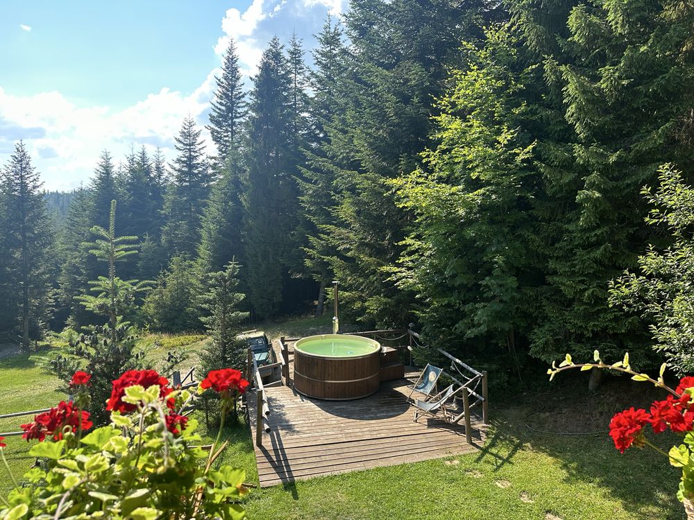 Domek w górach leśna bacówka, gorąca balia, ruska bania, domek w lesie