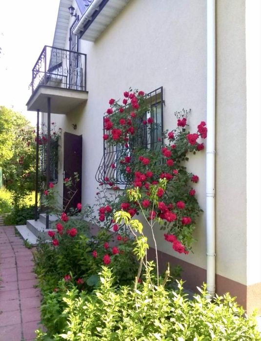 Оренда Будинку поряд м. Осокорки/Славутич піша доступність