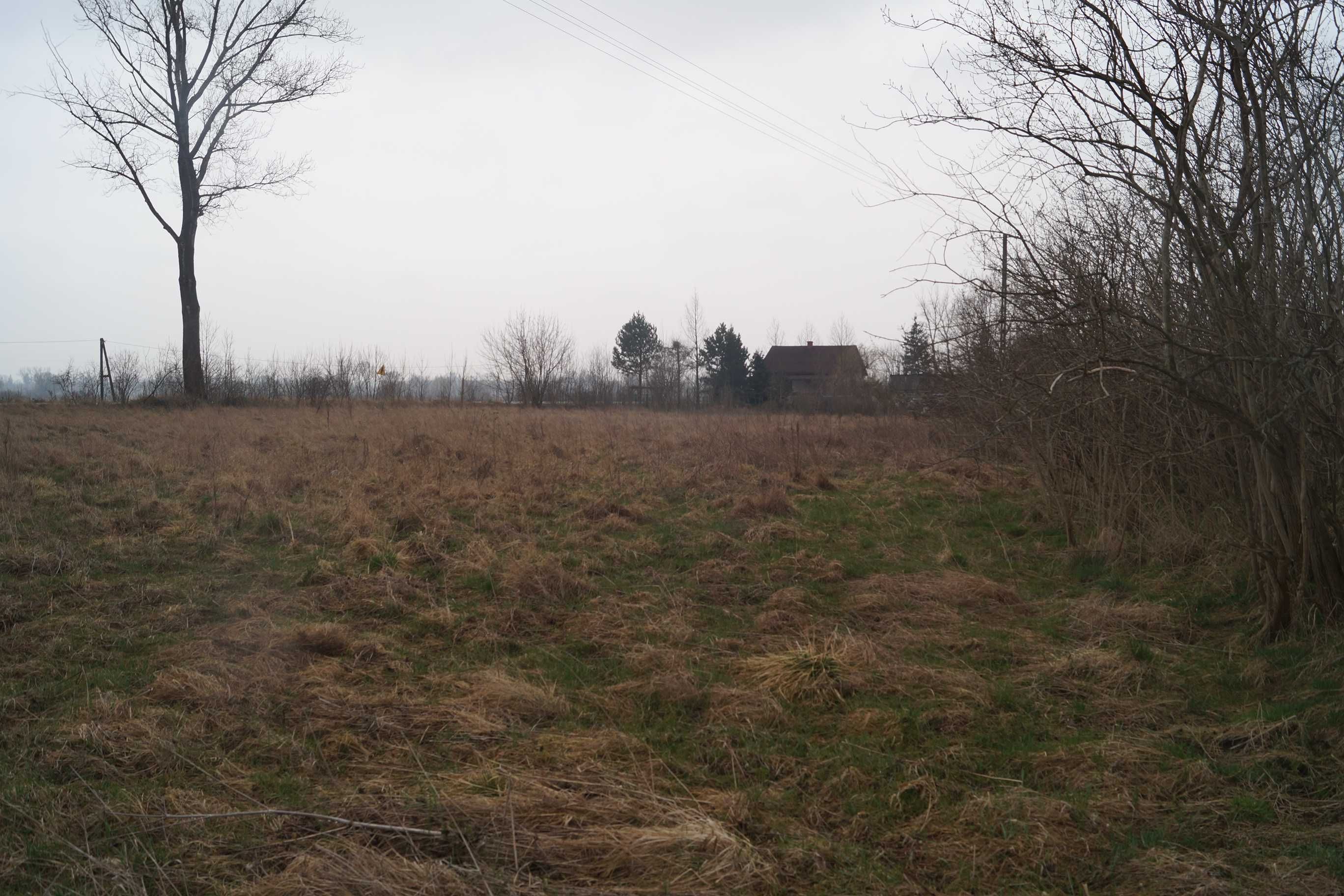 Działka 995m2 z WZ na DOM Bejsce Gmina blisko Kazimierza Wielka