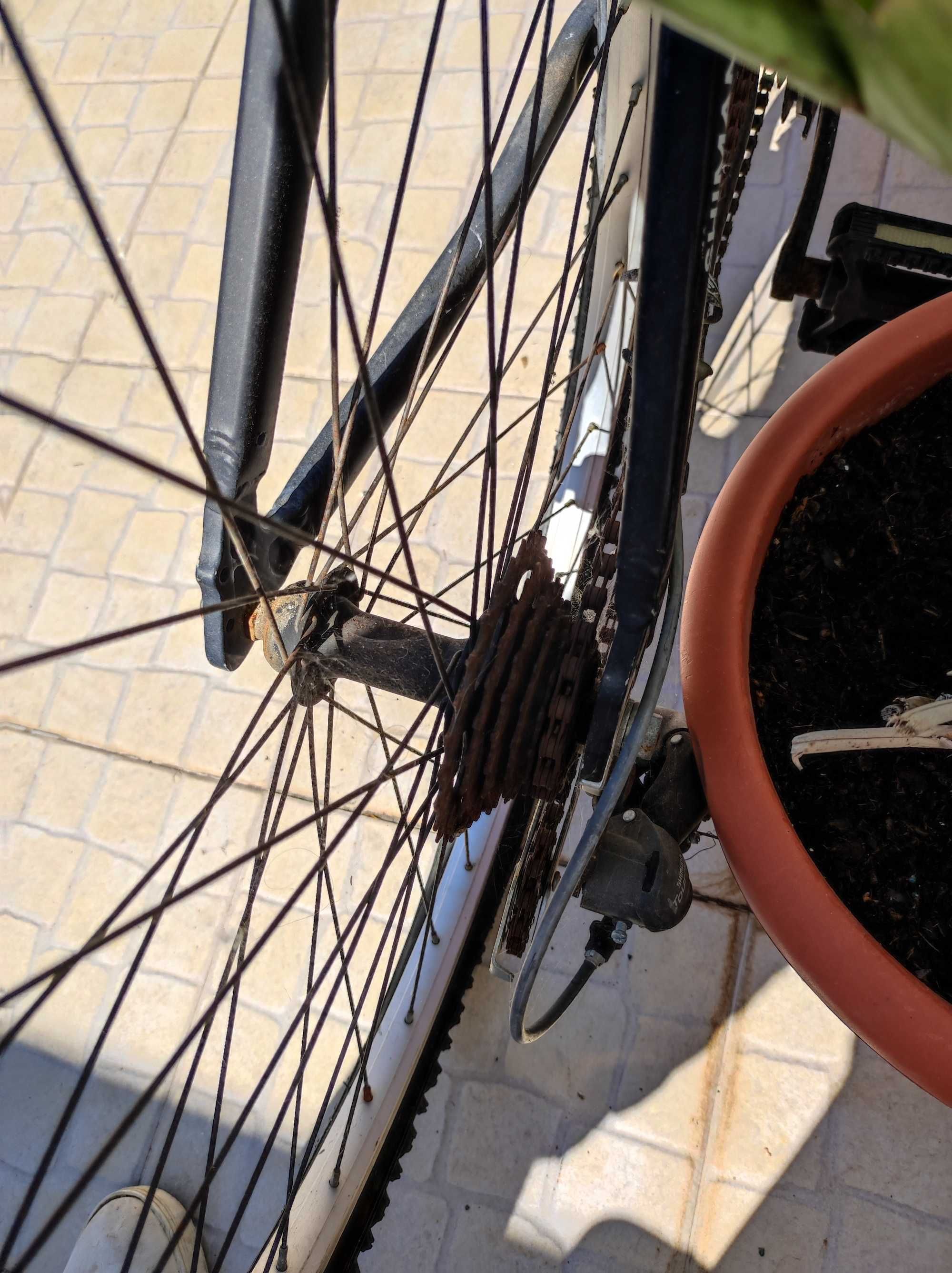 Bicicleta de cidade ou BTT