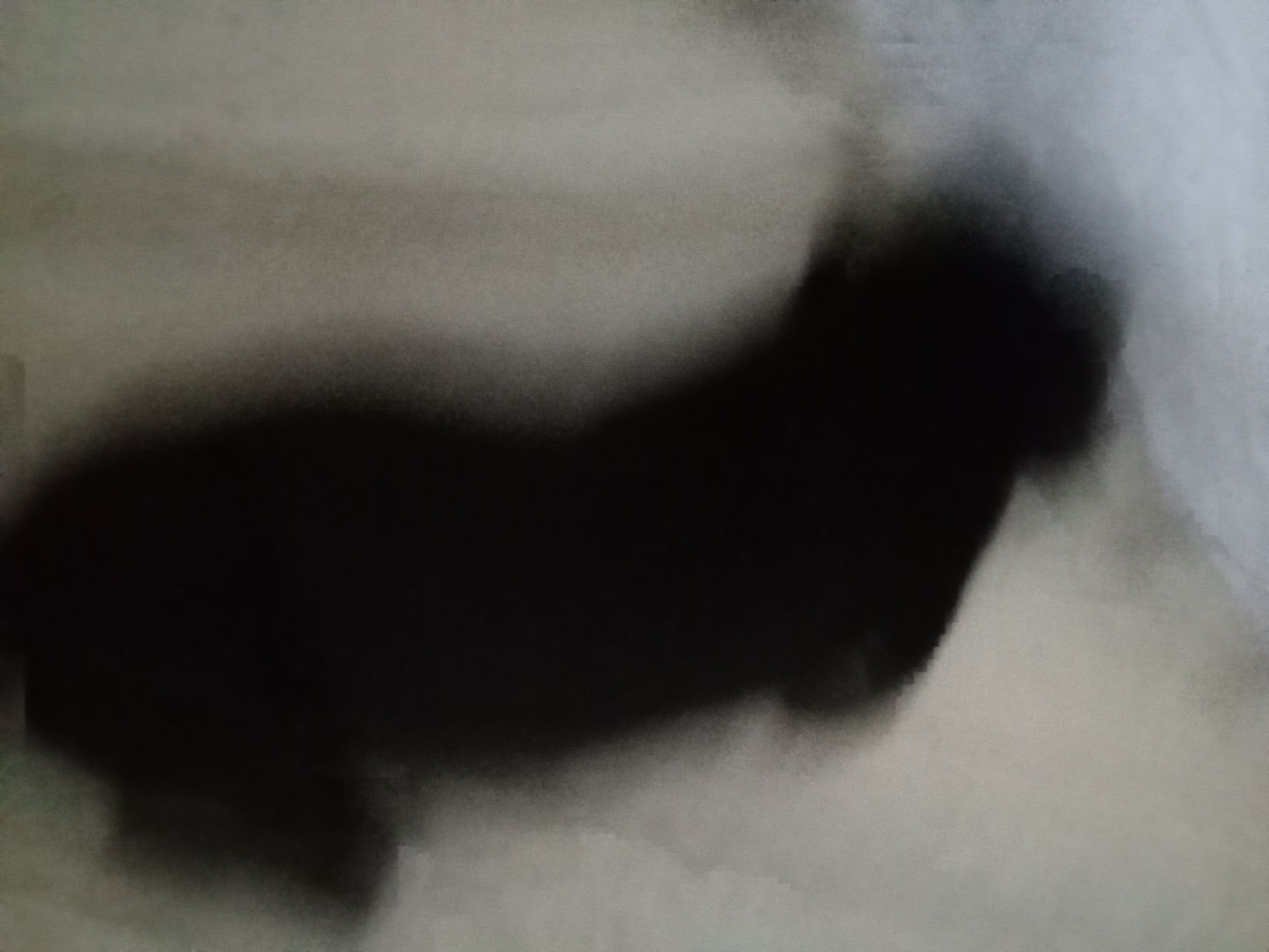 Cachorro para dar